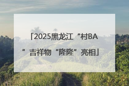 2025黑龙江“村BA”吉祥物“隆隆”亮相