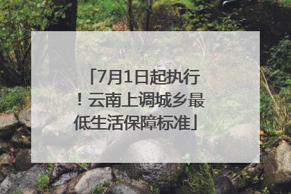 7月1日起执行！云南上调城乡最低生活保障标准