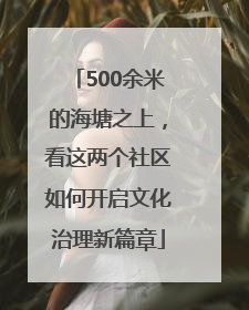 500余米的海塘之上，看这两个社区如何开启文化治理新篇章