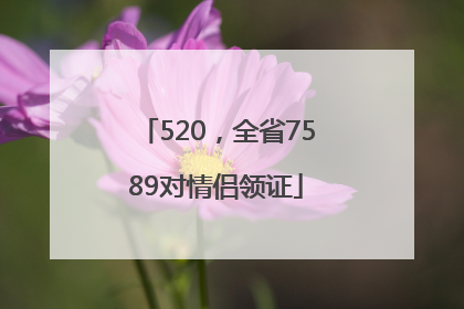 520，全省7589对情侣领证