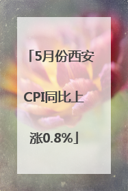 5月份西安CPI同比上涨0.8%