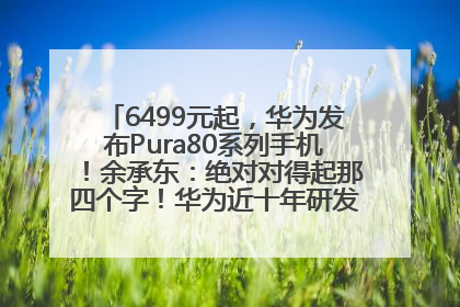 6499元起，华为发布Pura80系列手机！余承东：绝对对得起那四个字！华为近十年研发投入12490亿元