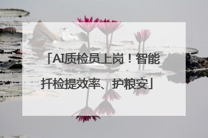 AI质检员上岗！智能扦检提效率、护粮安