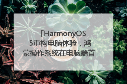 HarmonyOS 5重构电脑体验，鸿蒙操作系统在电脑端首次亮相丨新经济观察