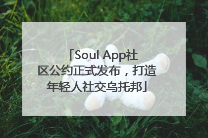 Soul App社区公约正式发布，打造年轻人社交乌托邦