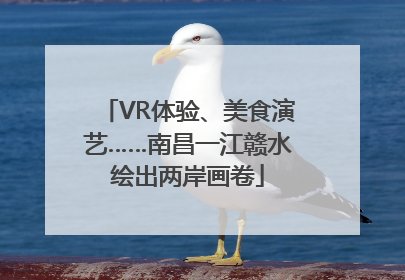 VR体验、美食演艺……南昌一江赣水绘出两岸画卷